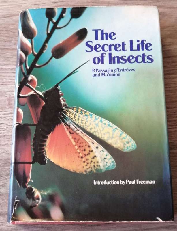 The Secret Life Of Insects