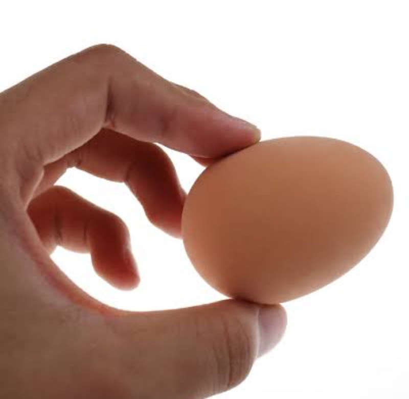 Nest Box Egg