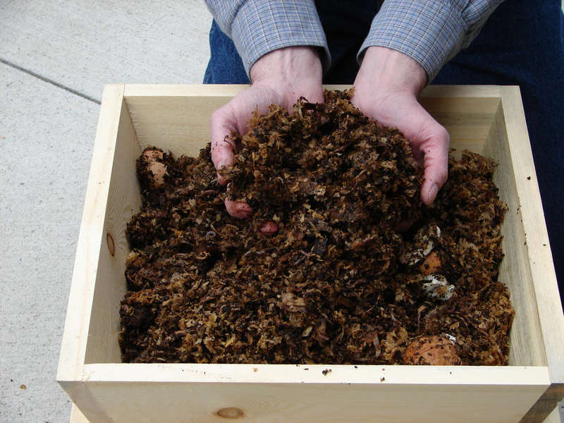 Worm Hive (3 Tray)