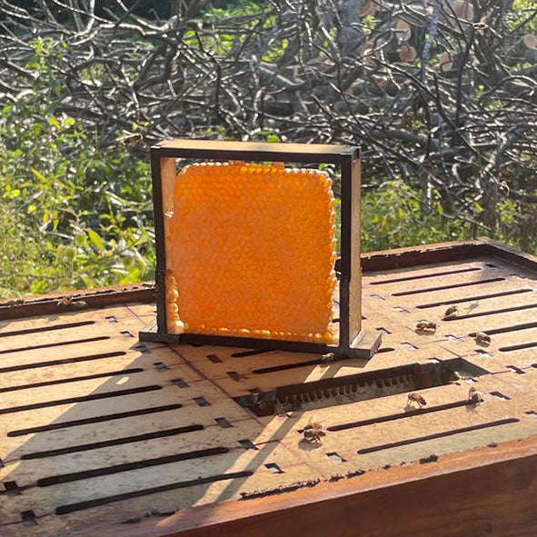 Super Chamber + 30 Cassette frames