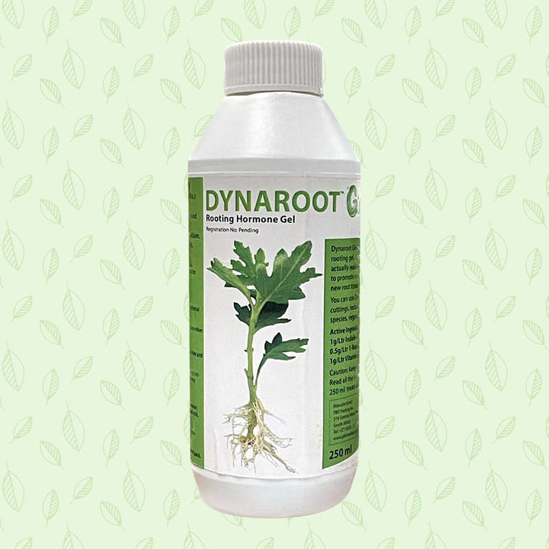 Dynaroot Gel 250ml