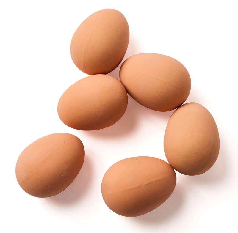 Nest Box Egg