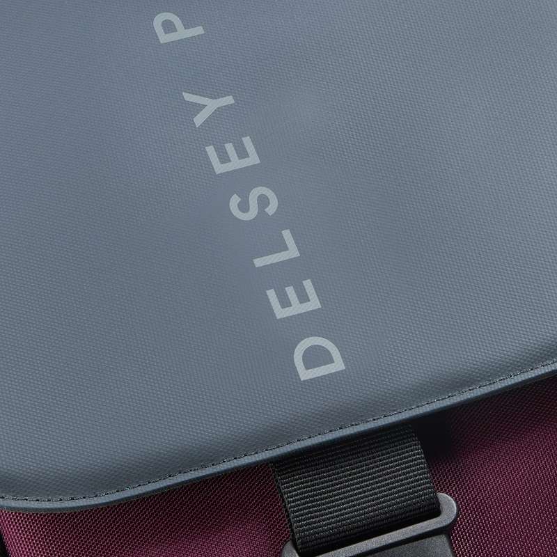Delsey SecureFlap Bag  - Backpack  (PC Protection 16") Burgandy