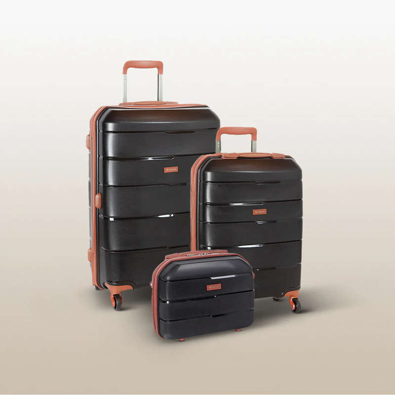 Cellini Spinn Elite Medium Travel Set Black