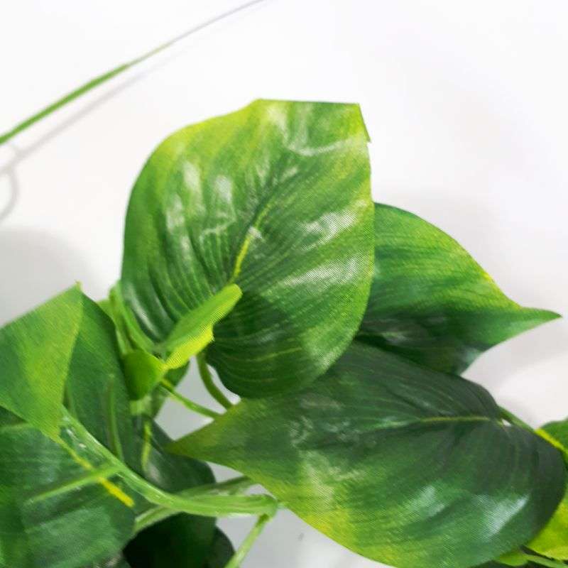 leaf strand - ivy