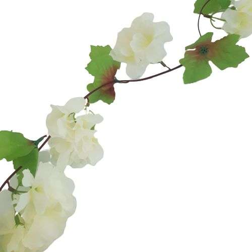 white flower strand