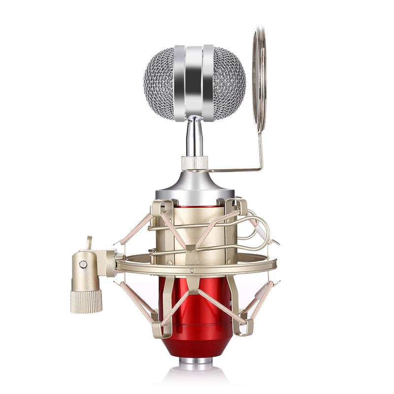 LEIHAO BM - 8000 Professional Sound Studio Recording Condenser Microphone
