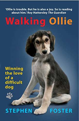 Walking Ollie Winning the Love of a Difficult Dog Stephen Foster