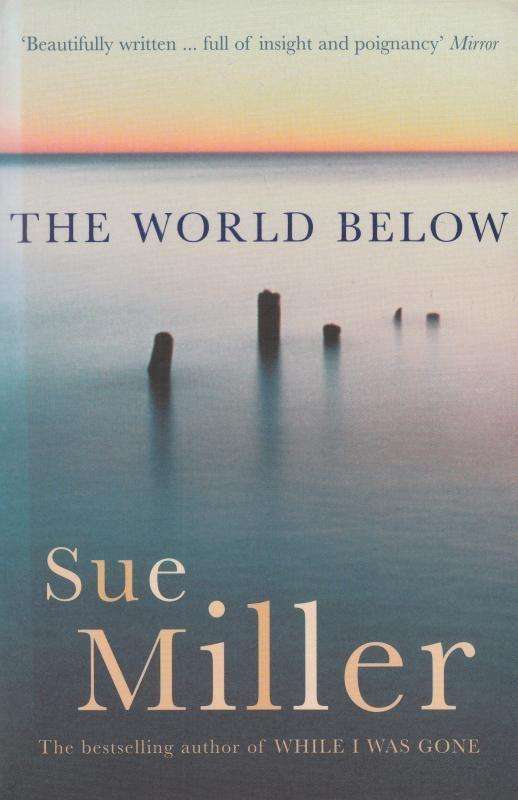 The World Below Sue Miller