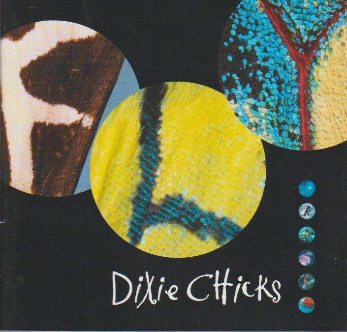 Dixie Chicks - Fly