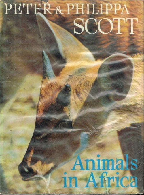 Animals in Africa - Peter Scott & Philippa Scott