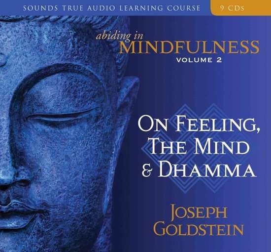 Abiding in Mindfulness - Joseph Goldstein (Audiobook - CD)