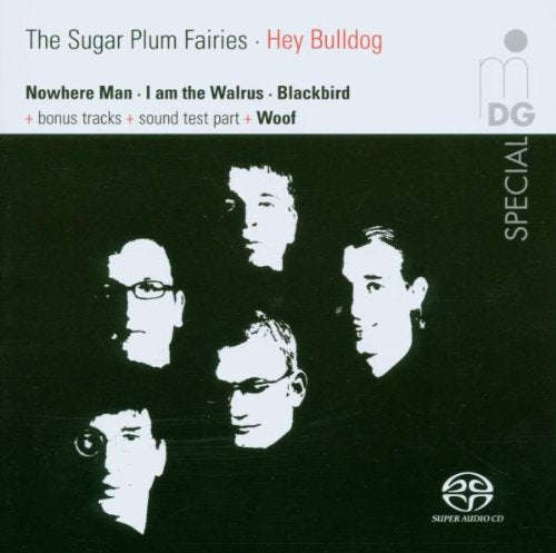 The Sugar Plum Fairies - Hey Bulldog