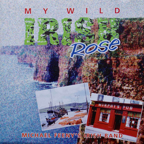 Michael Feeny's Irish Band - My Wild Irish Rose