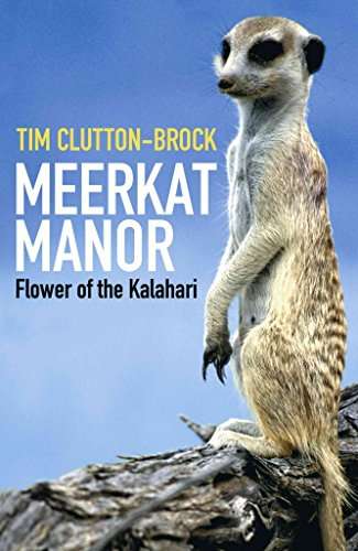 Meerkat Manor: Flower of the Kalahari - T. H. Clutton-Brock