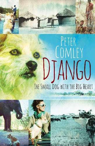 Django: The Small Dog with the Big Heart Peter Comley