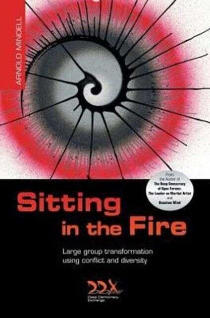 Sitting in the Fire: Large Group Transformation Using Conflict and Diversity - Arnold Mindell