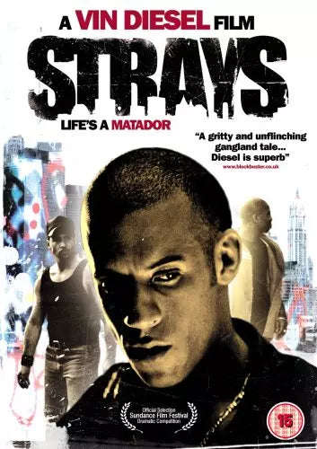 Strays (DVD)