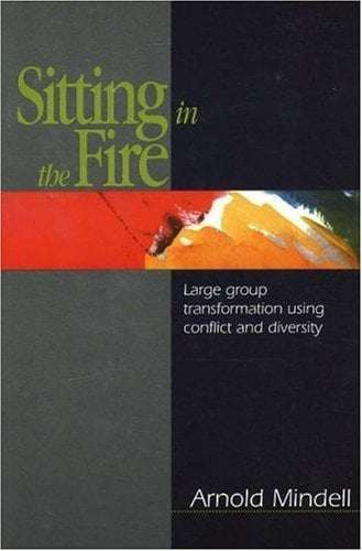 Sitting in the Fire: Large Group Transformation Using Conflict and Diversity - Arnold Mindell