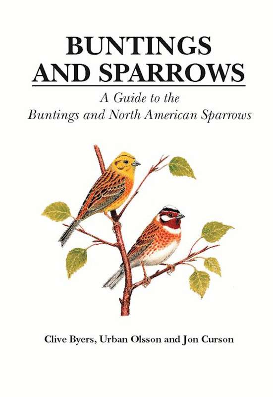 Buntings and Sparrows : A Guide to the Buntings and North American Sparrows - Clive Byers & Urban...