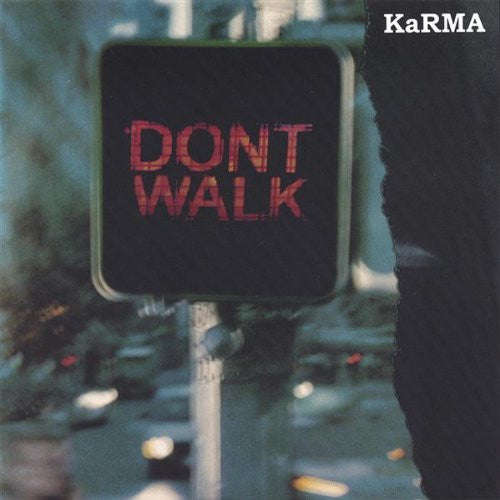Karma-Ann Swanepoel - Don't Walk Fly