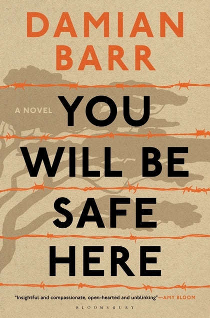 You Will Be Safe Here - Damian Barr