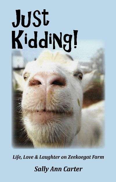 Just Kidding! - Sally Ann Carter