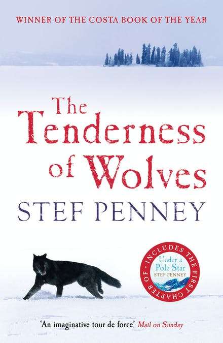 The Tenderness Of Wolves - Stef Penney