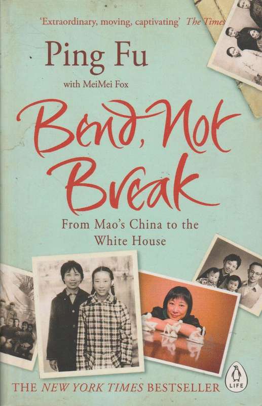 Bend, Not Break - Ping Fu