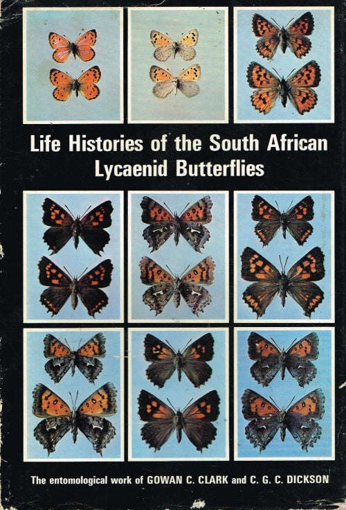 Life histories of the South African Lycaenid Butterflies - Gowan C Clark & C G C Dickson