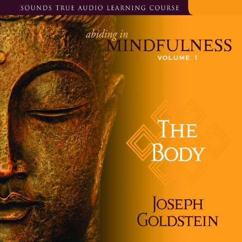 Abiding in Mindfulness - Joseph Goldstein (Audiobook - CD)
