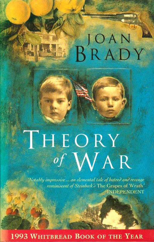 Theory of War Joan Brady