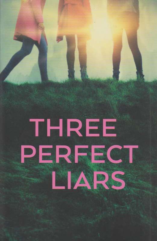 Three Perfect Liars - Heidi Perks