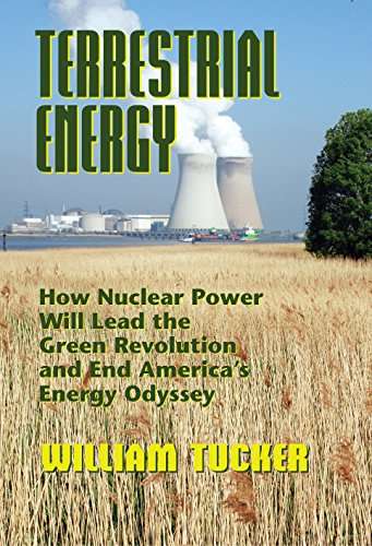 Terrestrial Energy: How Nuclear Energy Will Lead the Green Revolution and End America's Energy Od...