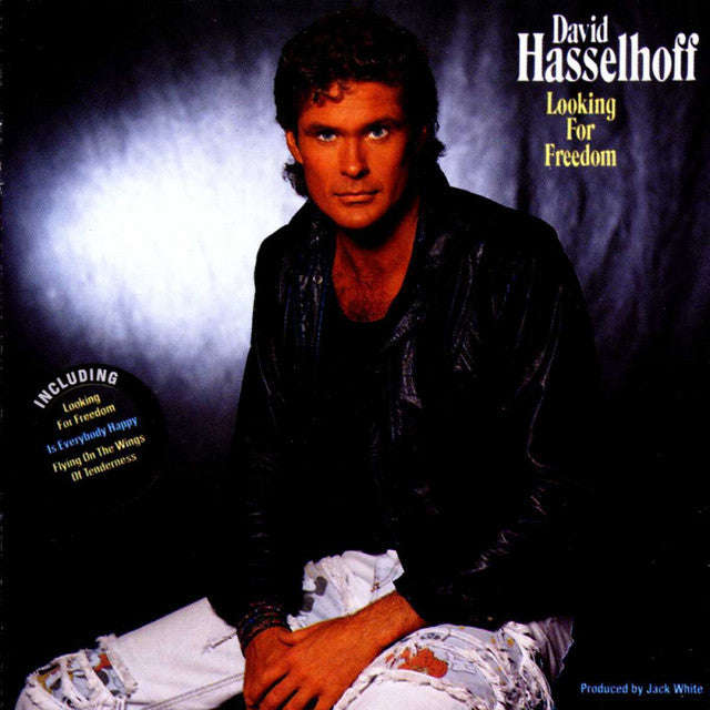 David Hasselhoff - Looking For Freedom