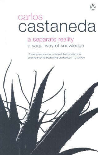 A Separate Reality: Further Conversations with Don Juan - Carlos Castaneda