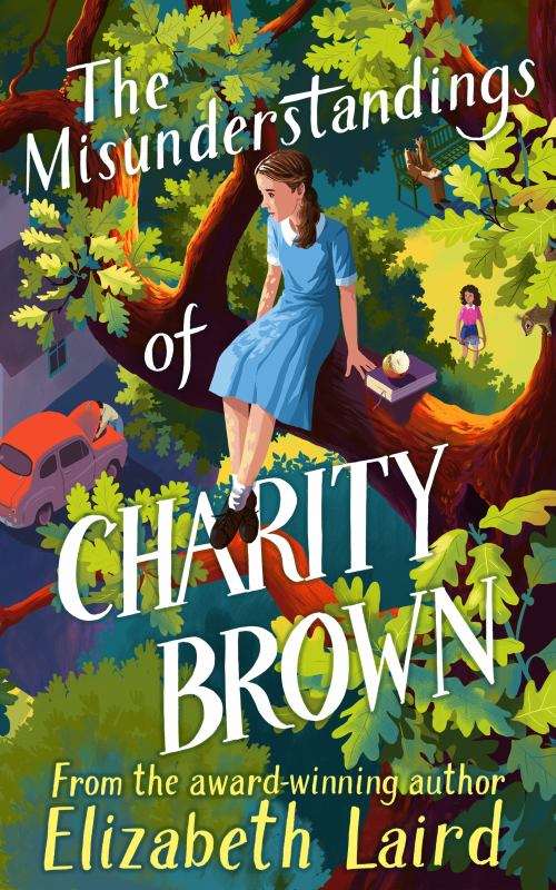 The Misunderstandings of Charity Brown - Elizabeth Laird