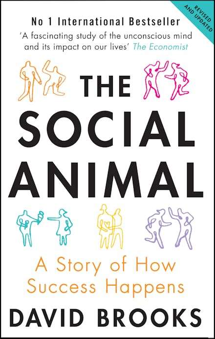 The Social Animal: A Story of How Success Happens - David Brooks