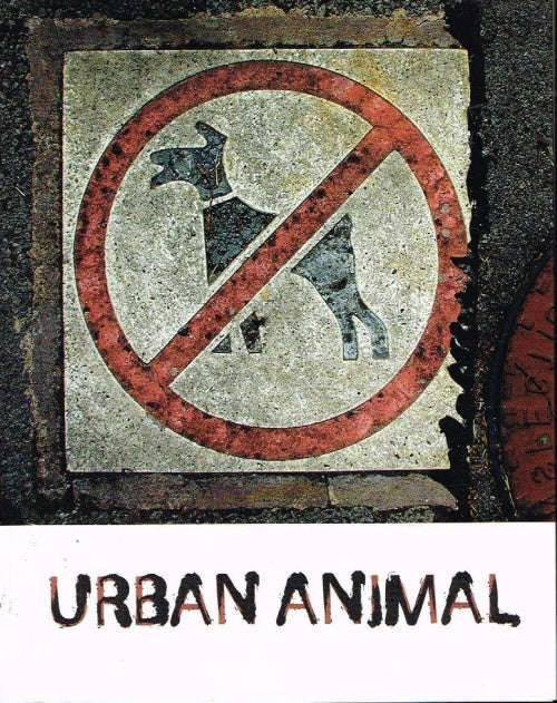 Urban Animal (Various Artists) -  Absa Gallery Johannesburg