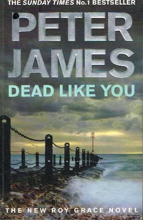 Dead like you Peter James