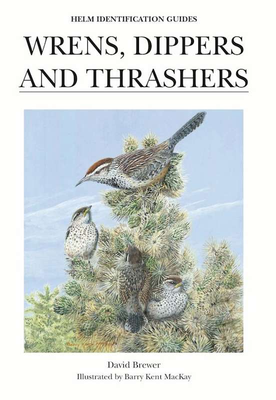 Wrens, Dippers and Thrashers David Brewer