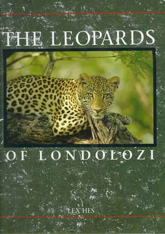 The Leopards of Londolozi - Lex Hes