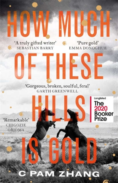 How Much of These Hills Is Gold - C. Pam Zhang