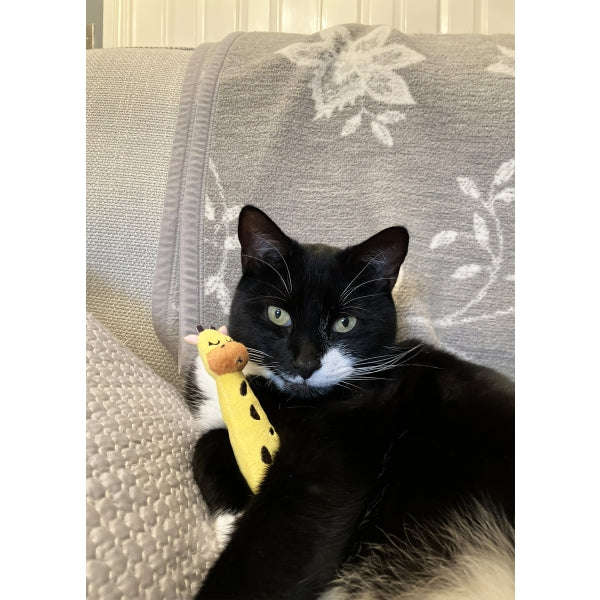 Rosewood Eco Friendly Giraffe Grab Toy for Cats