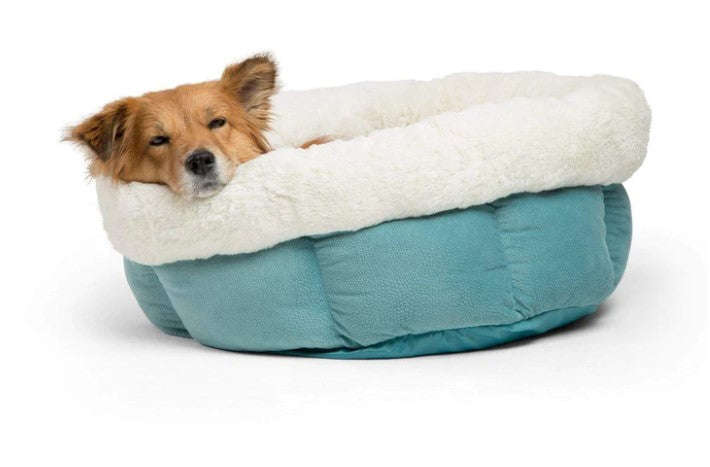 Best Friends by Sheri Cuddle Cup Ilan Dog & Cat Bed