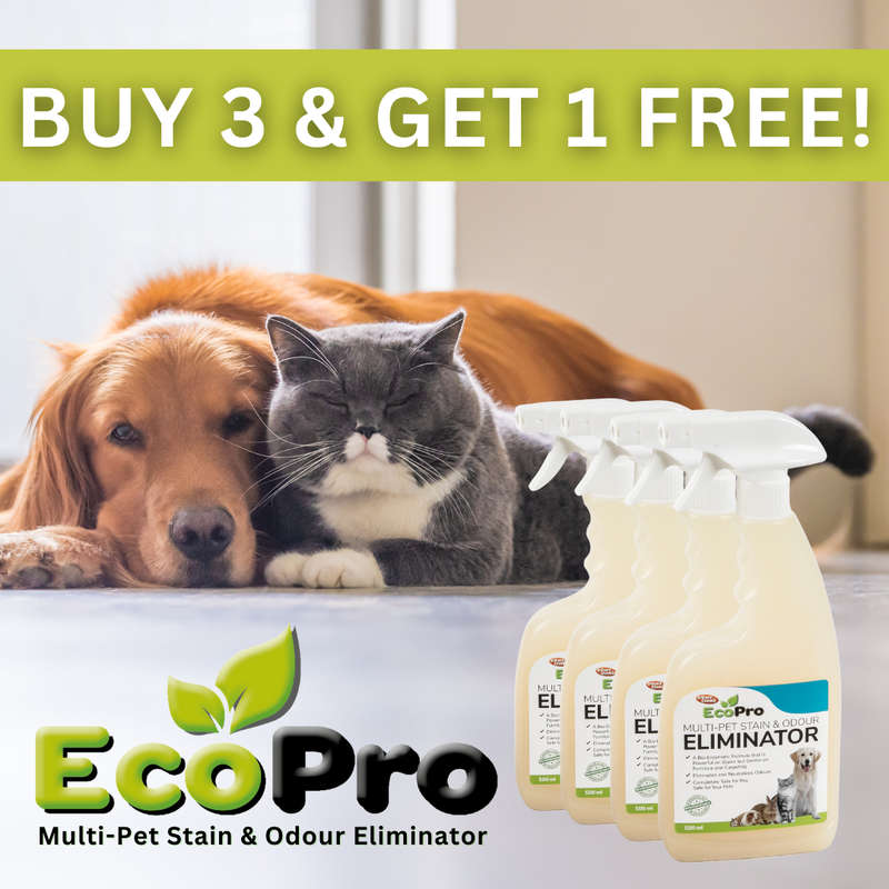 EcoPro Stain & Odour Eliminator - BUY 3 & GET 1 FREE!