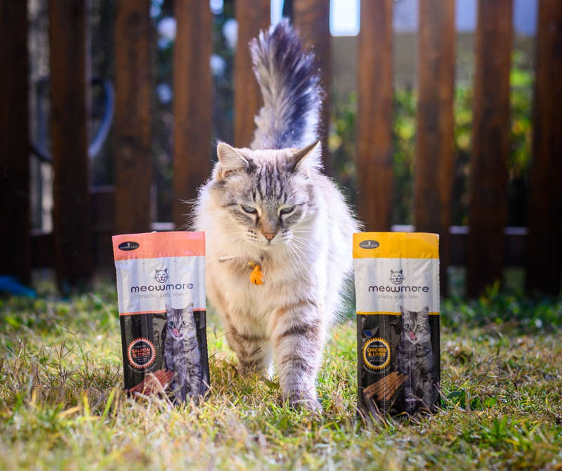 Meow More Cat Treat Sticks Bulk Deal (15g x 35 sticks)
