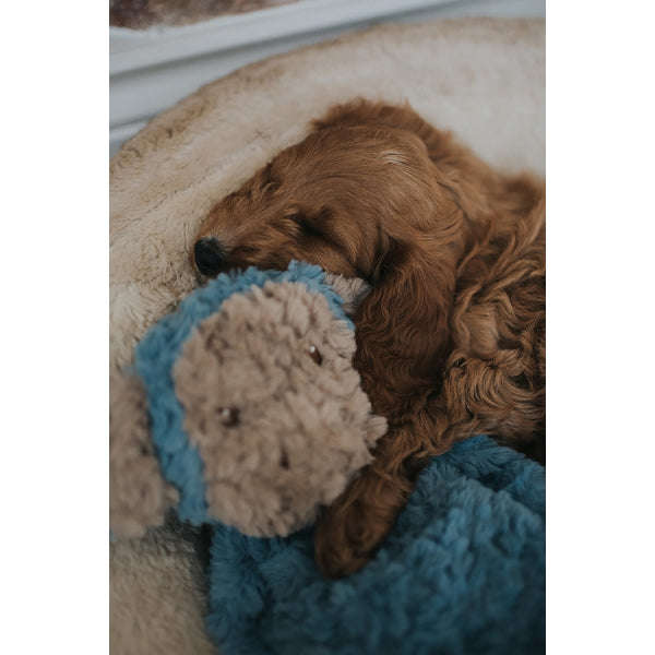 Rosewood My Dog Calming Monkey