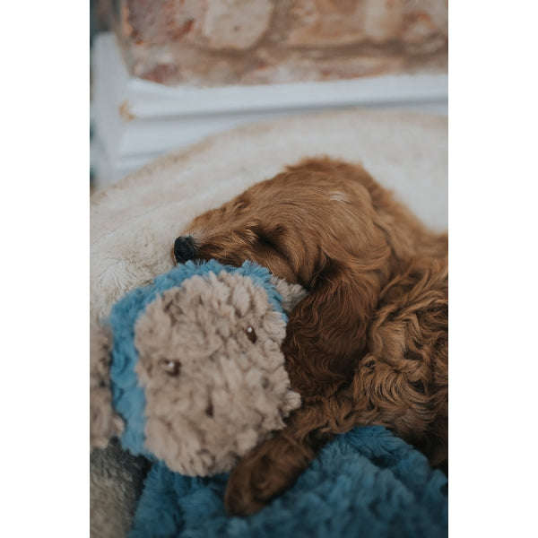 Rosewood My Dog Calming Monkey