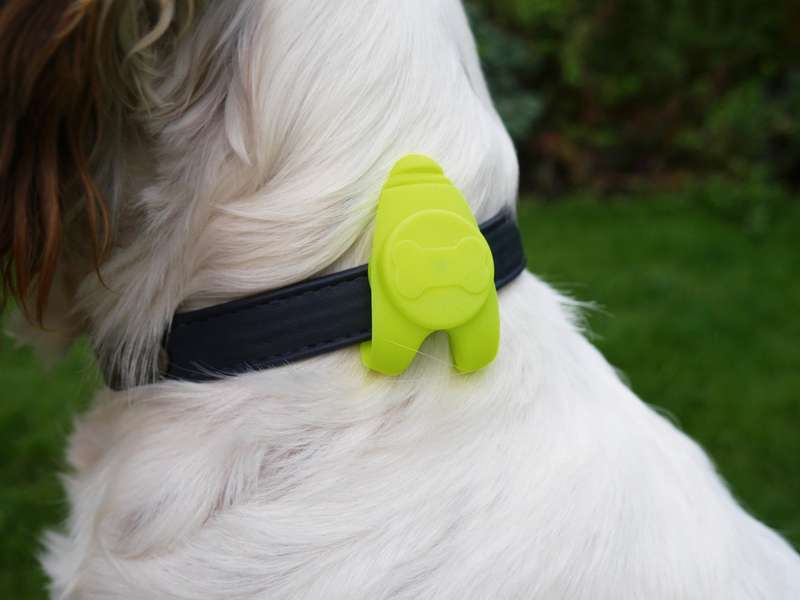 Silicon Collar Light